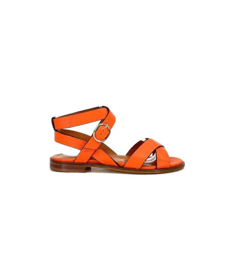Ivoire 9823 Lv10 Orange