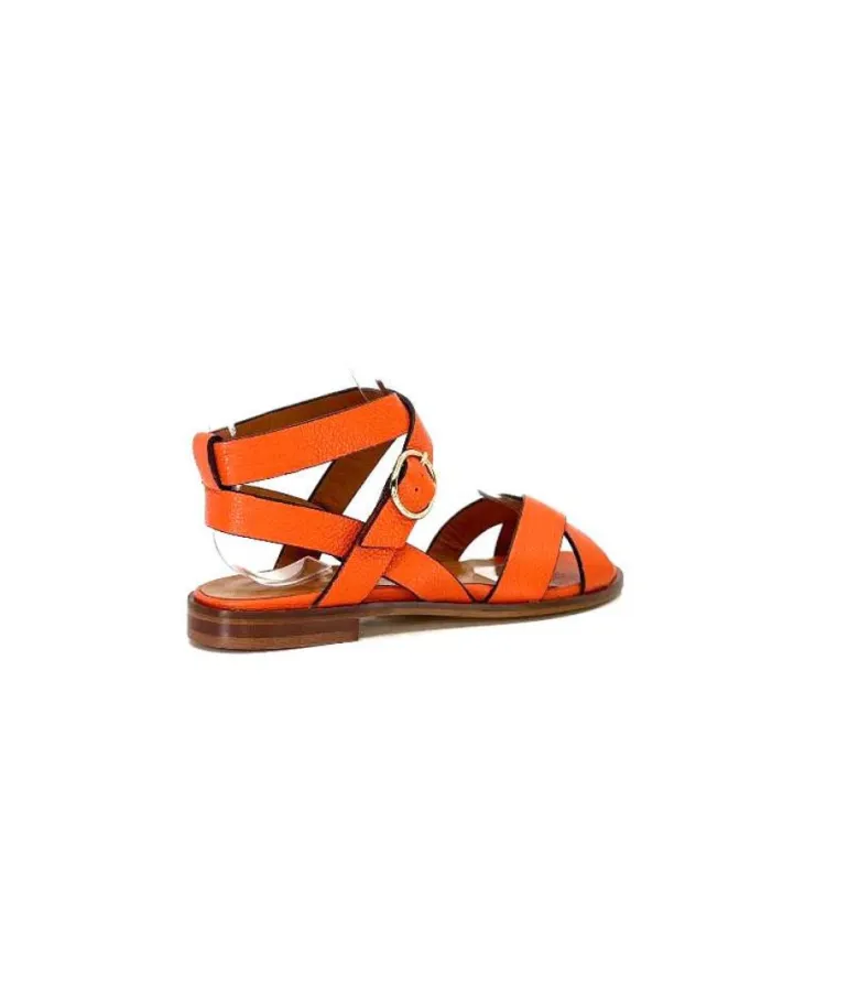 Ivoire 9823 Lv10 Orange
