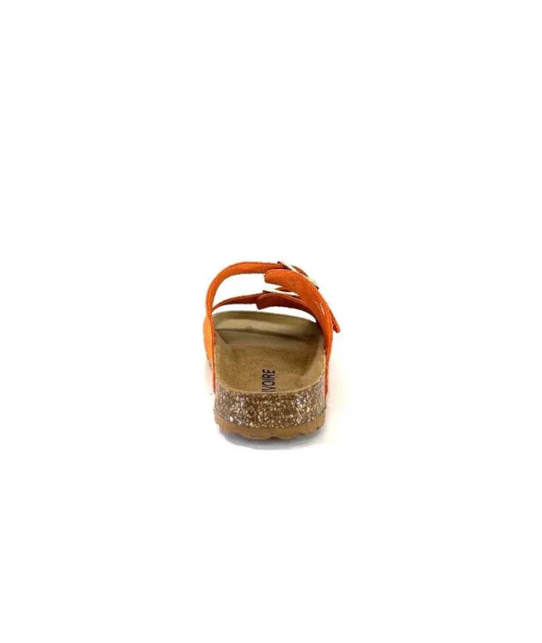 Ivoire 9-71-2878 Orange