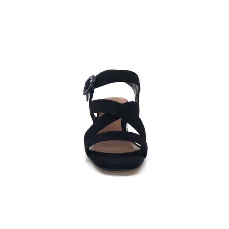 Ivoire F2063 Sardegna Daim Noir