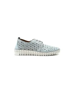 Ivoire Hy 2023.1 Cuir Bleu Ciel