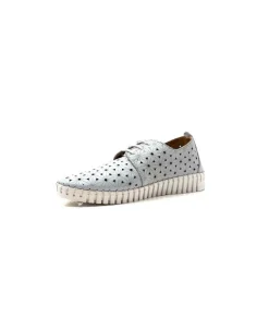 Ivoire Hy 2023.1 Cuir Bleu Ciel